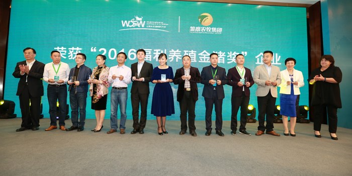 gppa-winners-on-stage-oct-2017.jpg