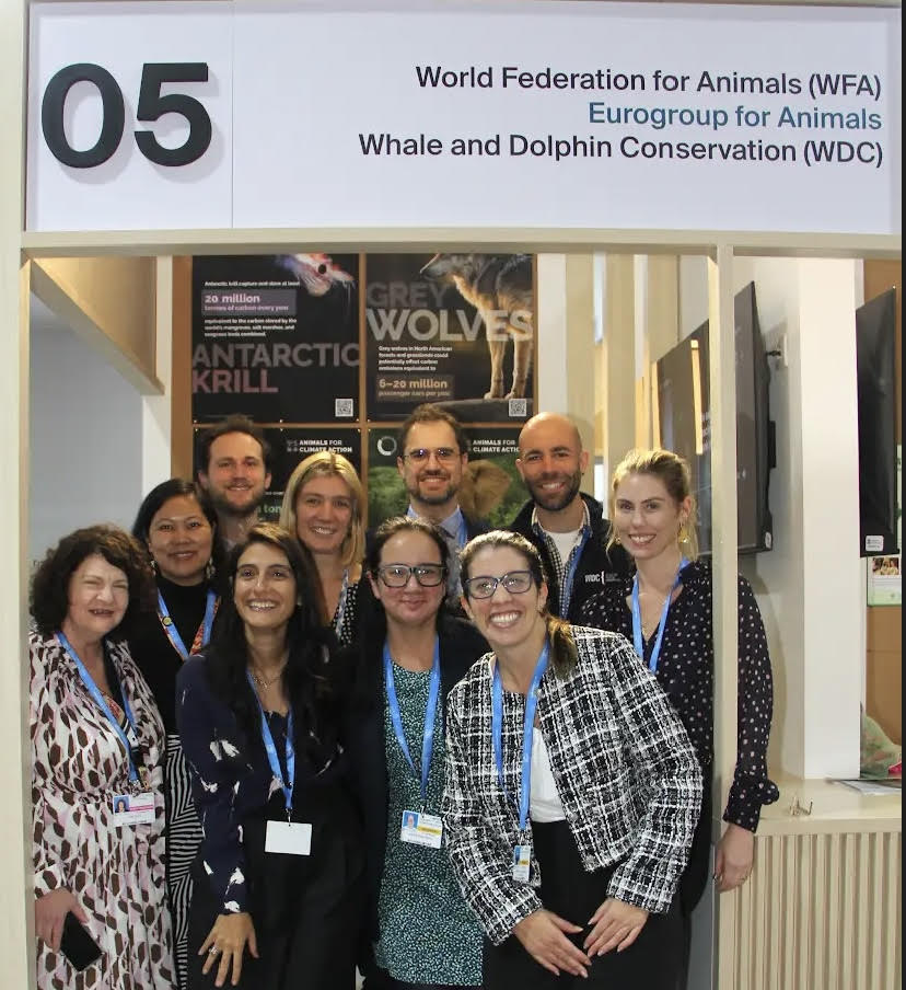 photo-wfa.jpg